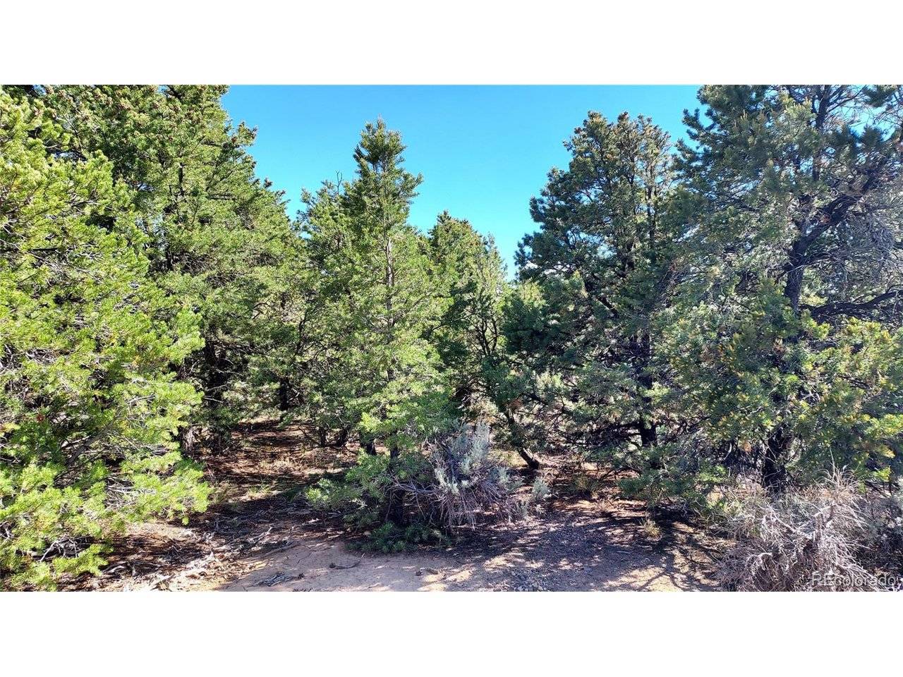 Stevenson, San Luis, CO 81152