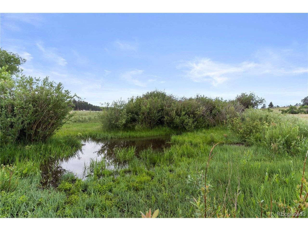 E Cherry Creek, Larkspur, CO 80118
