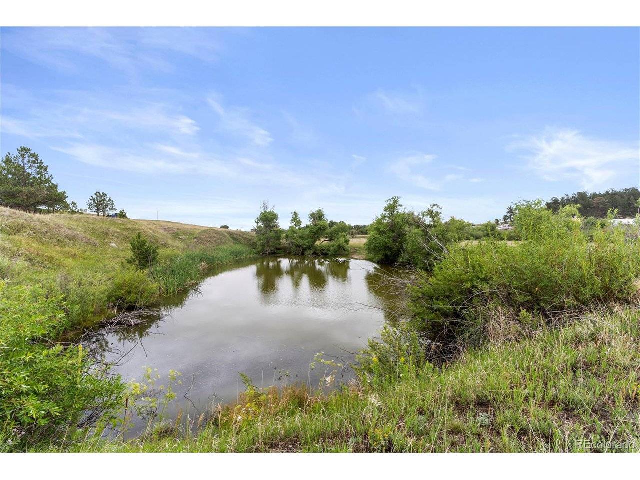 E Cherry Creek, Larkspur, CO 80118
