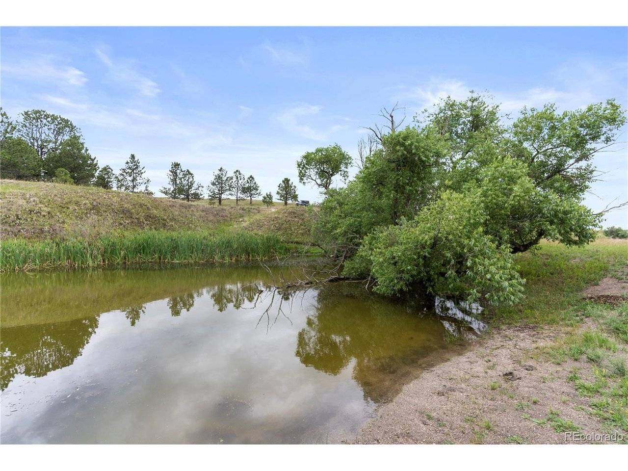 E Cherry Creek, Larkspur, CO 80118
