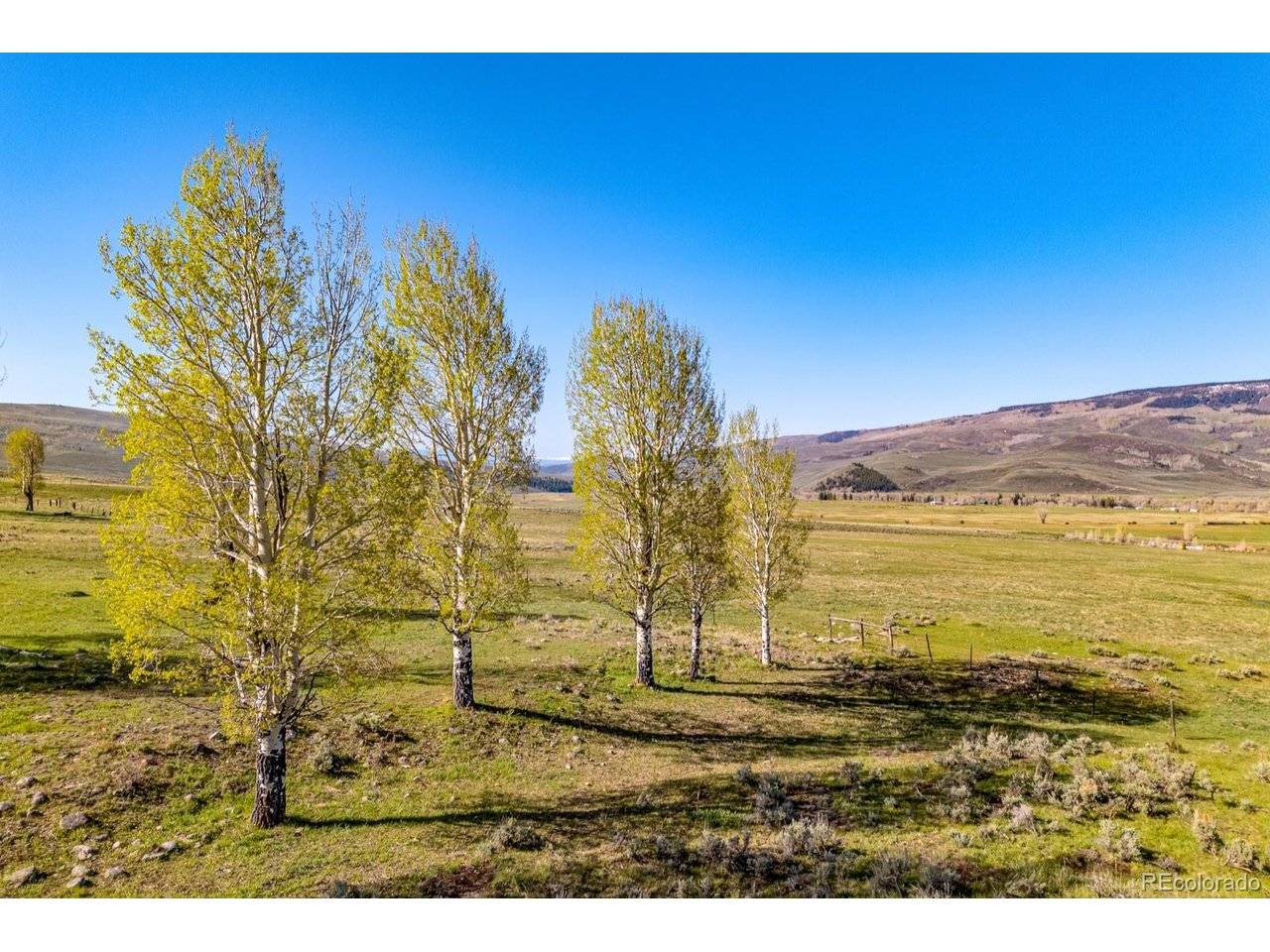 623 County Road 813, Almont, CO 81210