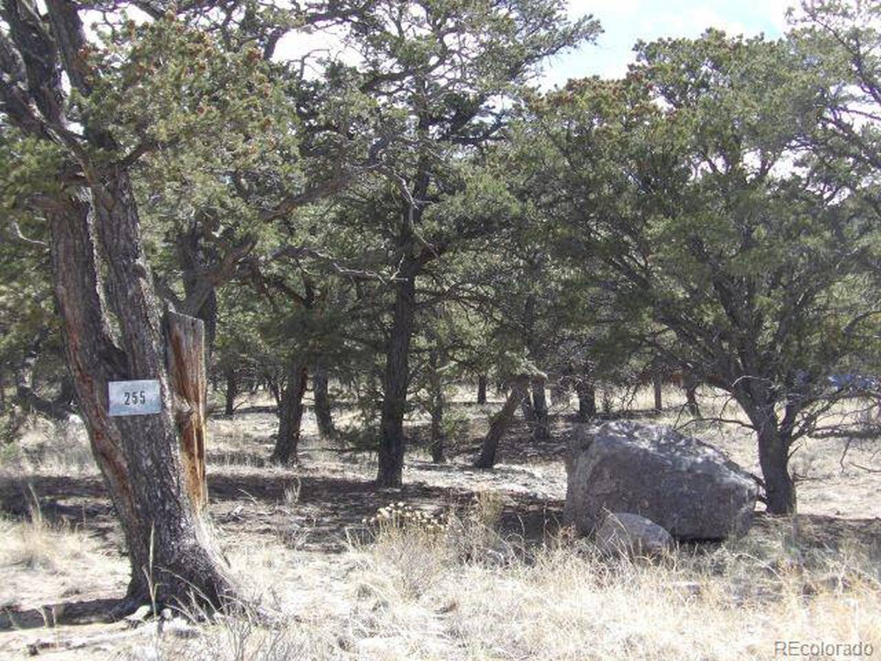 255 Baca Grant, Crestone, CO 81131
