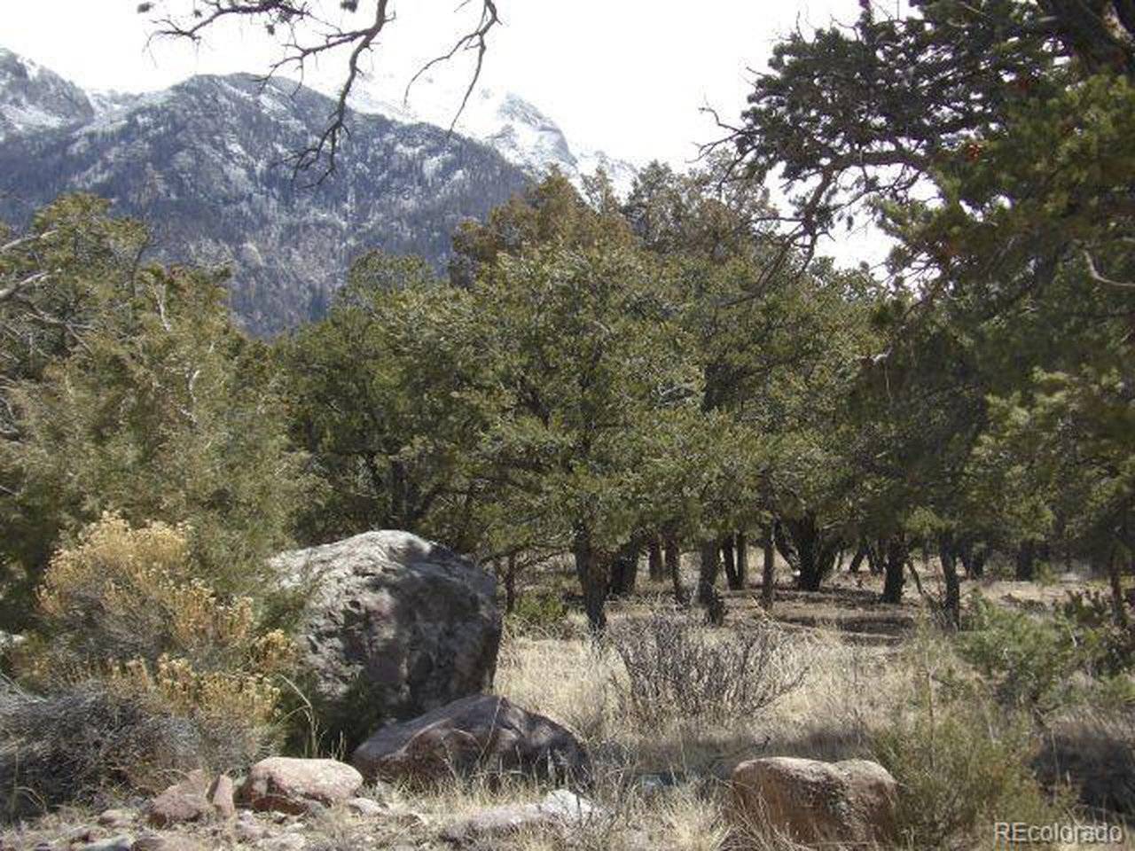 255 Baca Grant, Crestone, CO 81131