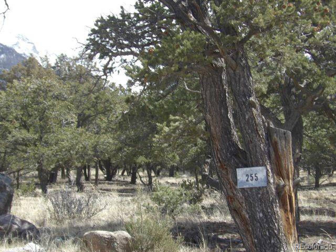 255 Baca Grant, Crestone, CO 81131