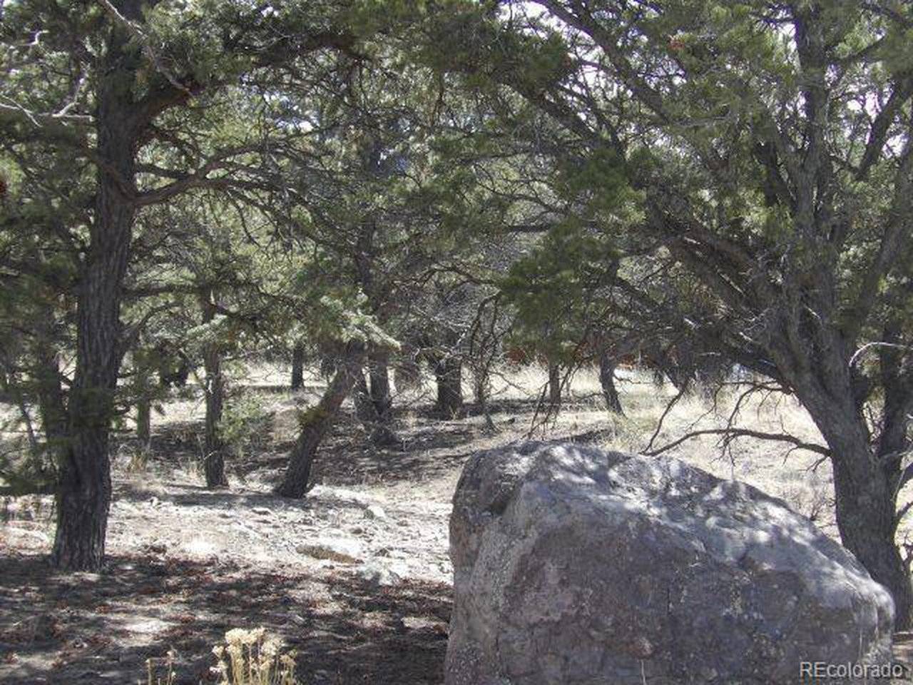 255 Baca Grant, Crestone, CO 81131