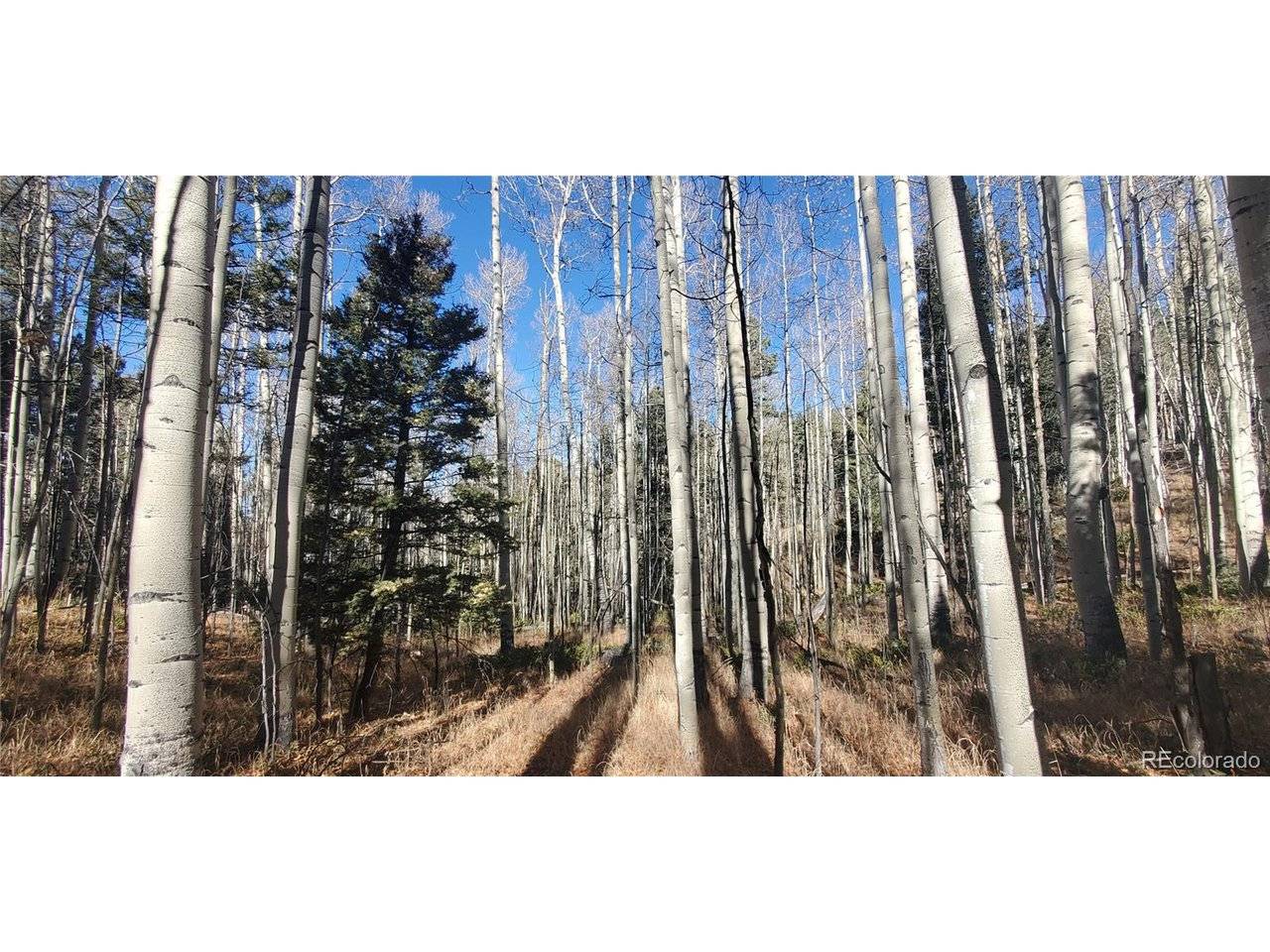 6060 Forbes, San Luis, CO 81152
