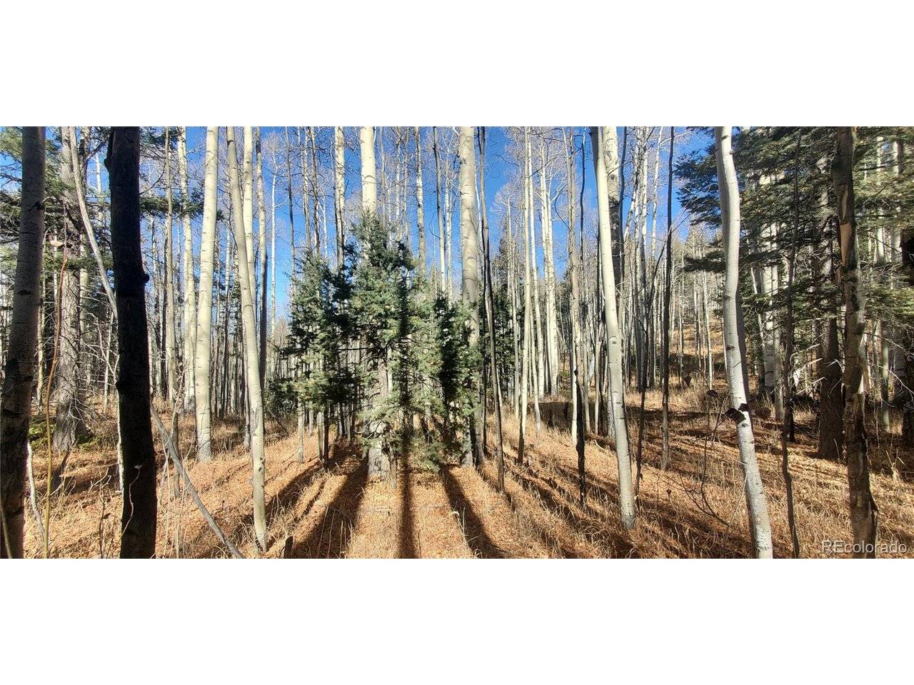 6060 Forbes, San Luis, CO 81152