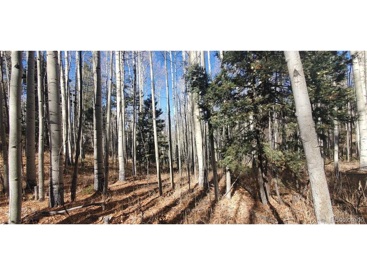 6060 Forbes, San Luis, CO 81152