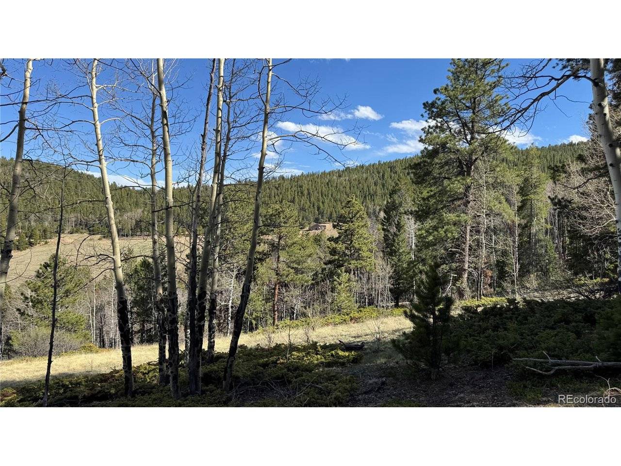 5 Church Placer, Central City, CO 80427