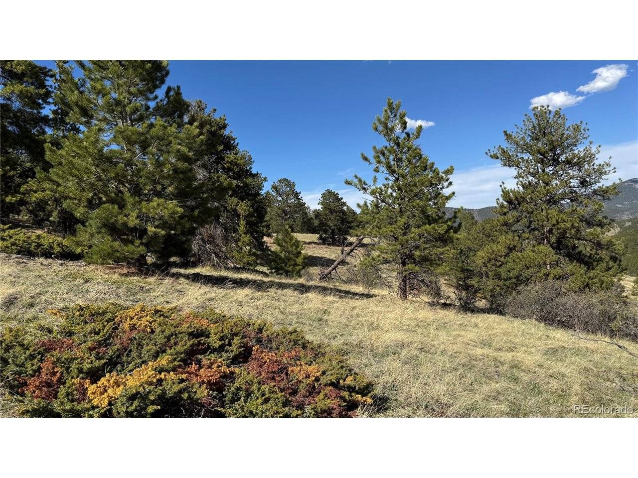 5 Church Placer, Central City, CO 80427