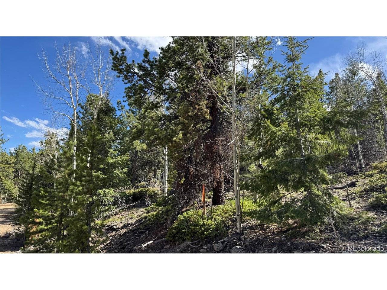 5 Church Placer, Central City, CO 80427