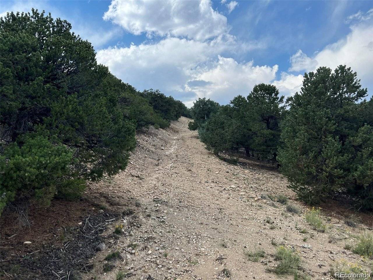 Address not disclosed, Salida, CO 81201