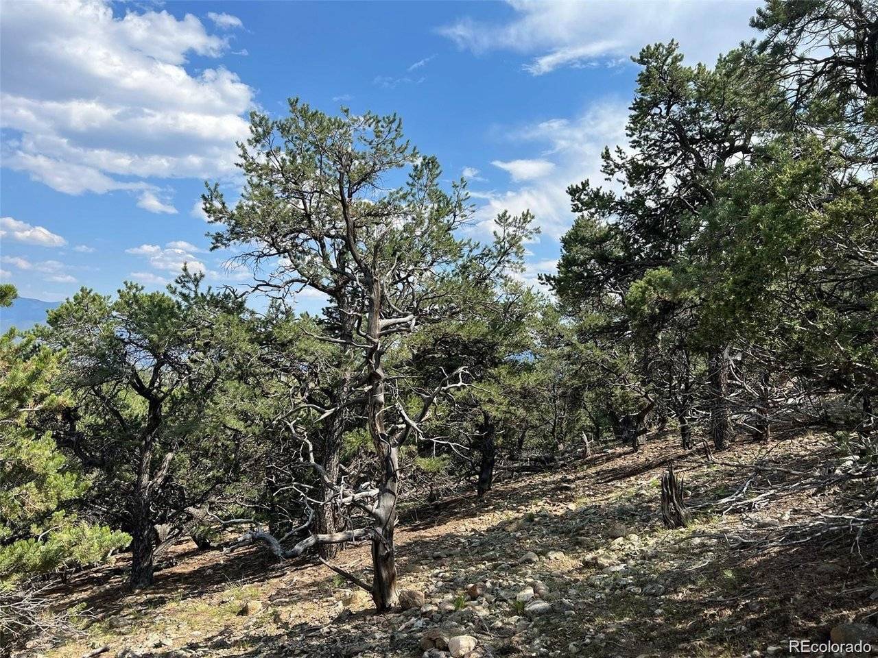 Address not disclosed, Salida, CO 81201