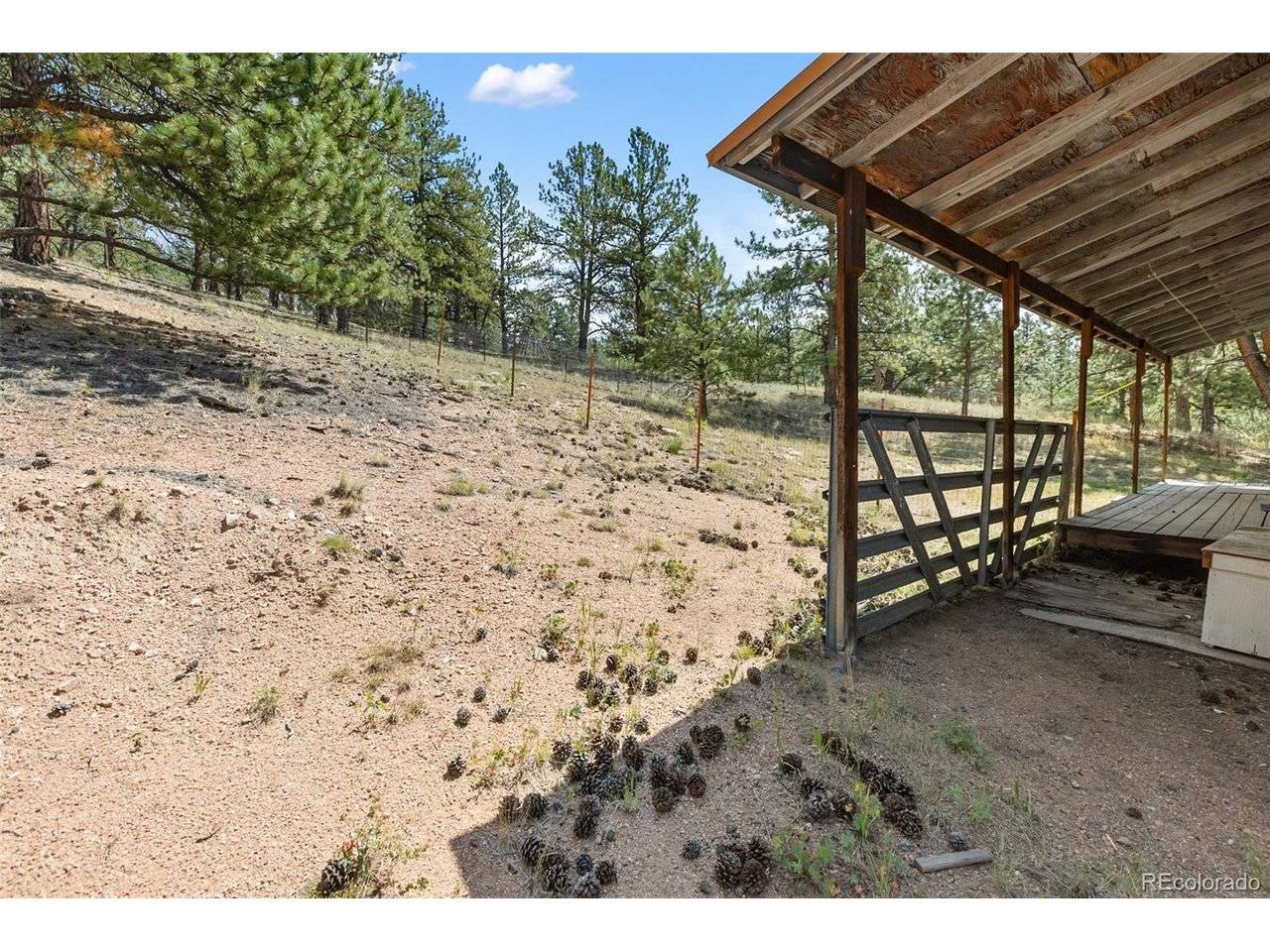 272 Spring Valley, Florissant, CO 80816