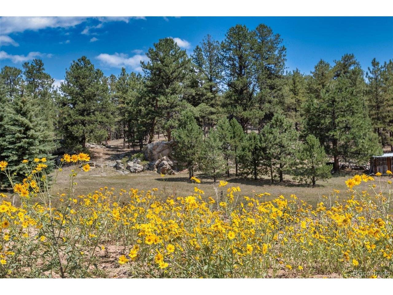 272 Spring Valley, Florissant, CO 80816