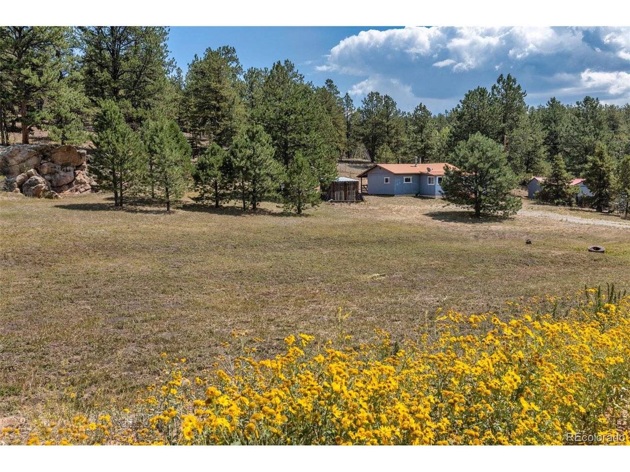 272 Spring Valley, Florissant, CO 80816
