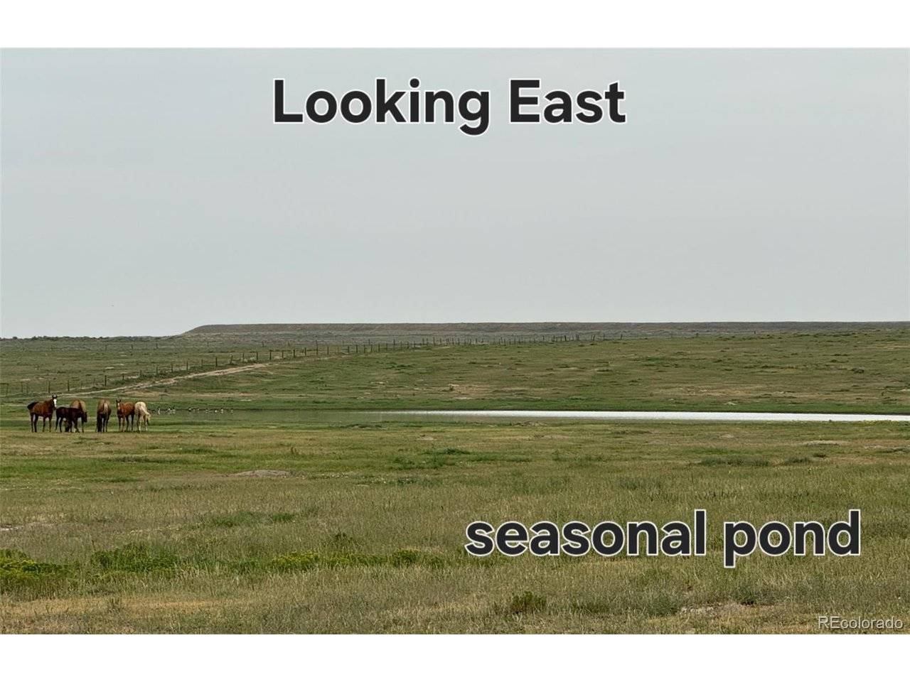 county rd 96 lot 2, Pierce, CO 80520