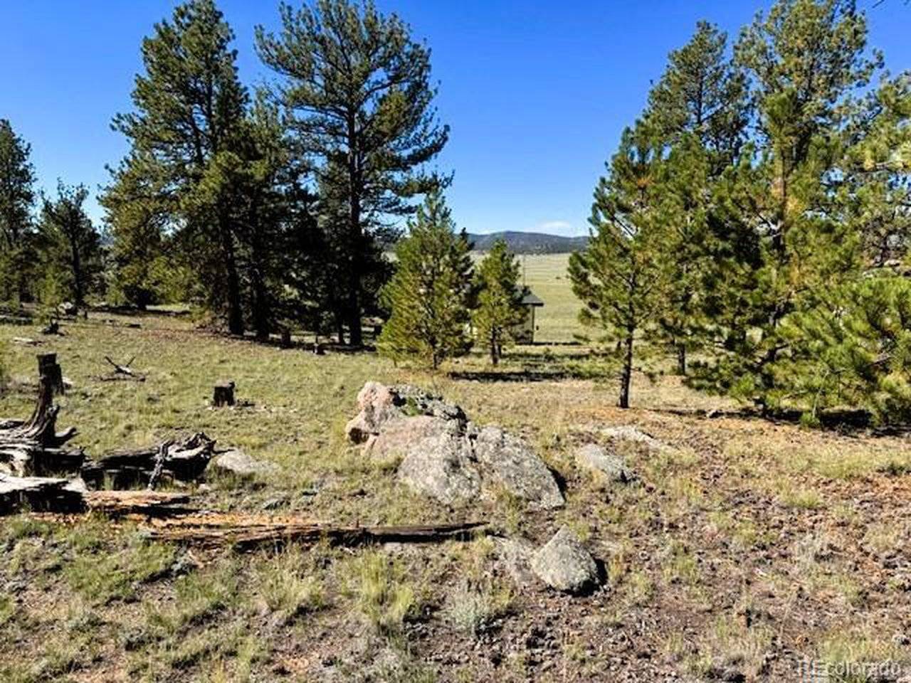 126 Zion, Hartsel, CO 80449