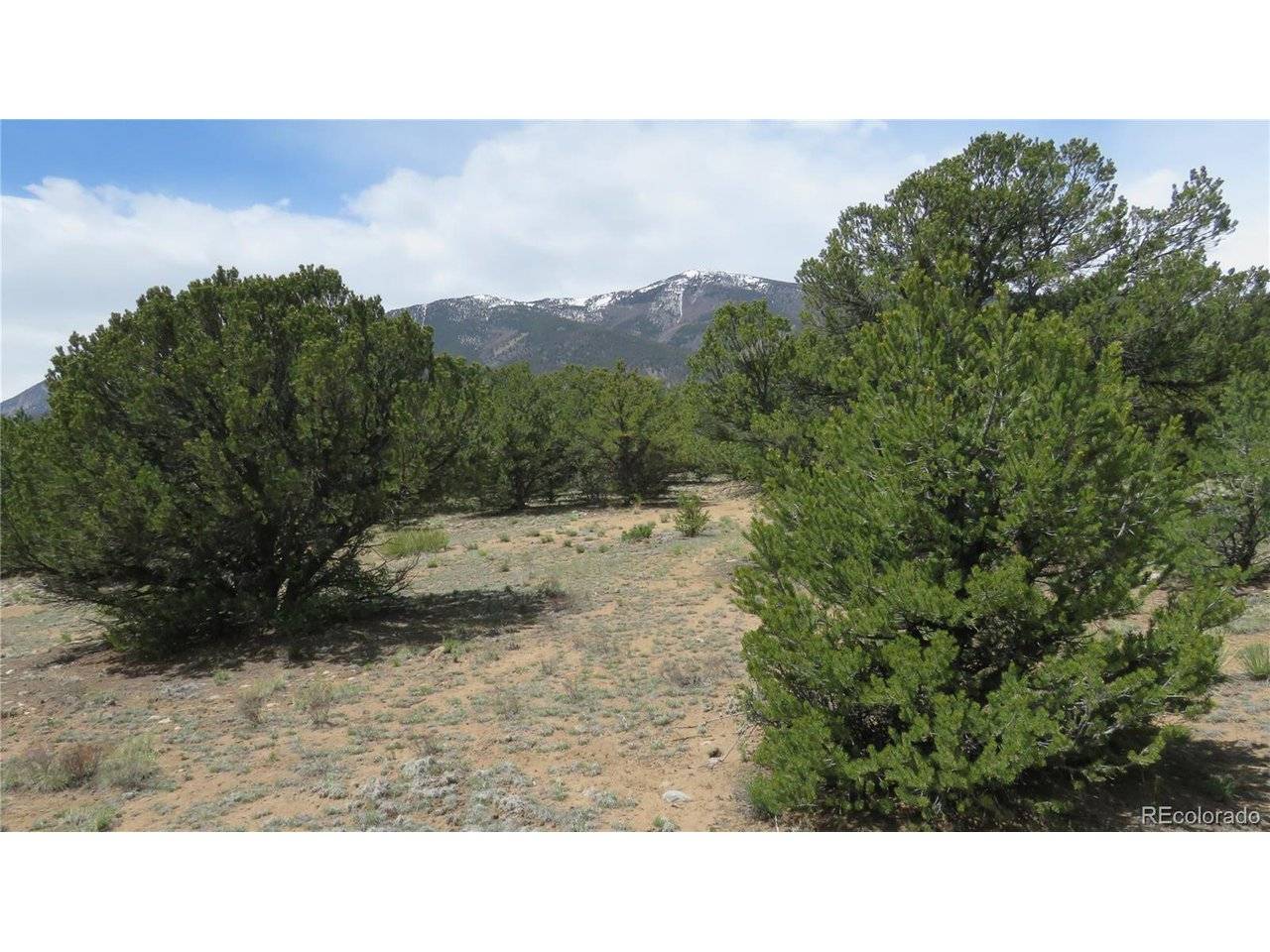 29258 Sage, Buena Vista, CO 81211