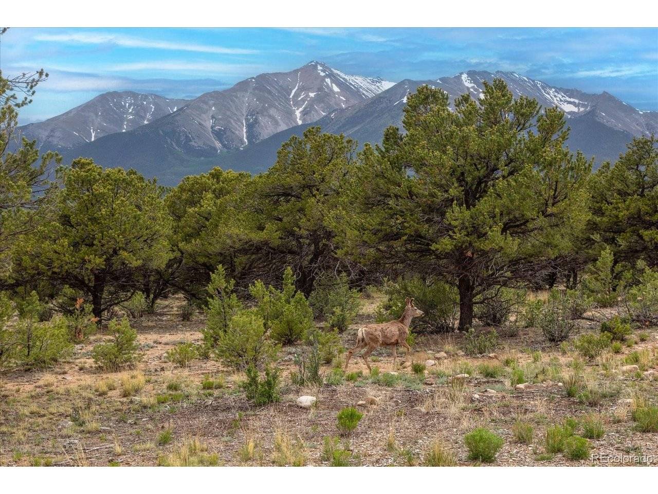 29258 Sage, Buena Vista, CO 81211