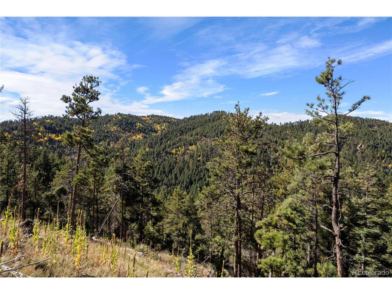 13126 Andiron, Larkspur, CO 80118