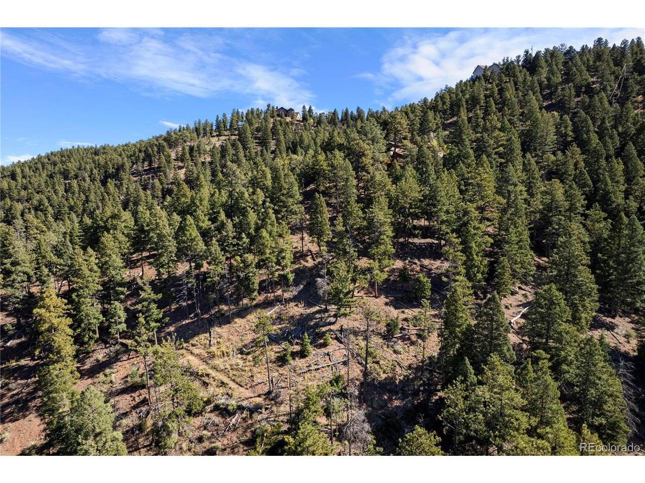 13126 Andiron, Larkspur, CO 80118