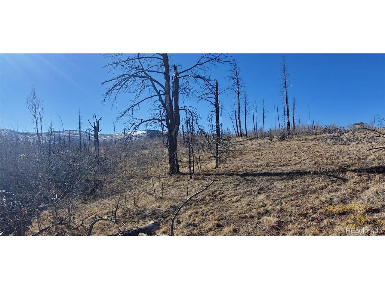 1566 Cary, Fort Garland, CO 81133