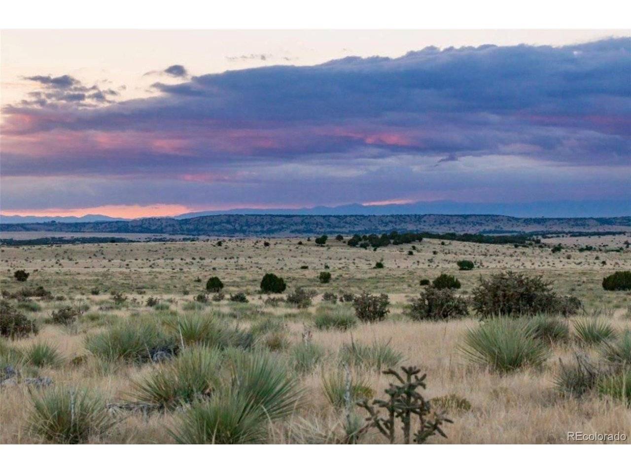 232 Turkey Ridge Ranch, Walsenburg, CO 81089