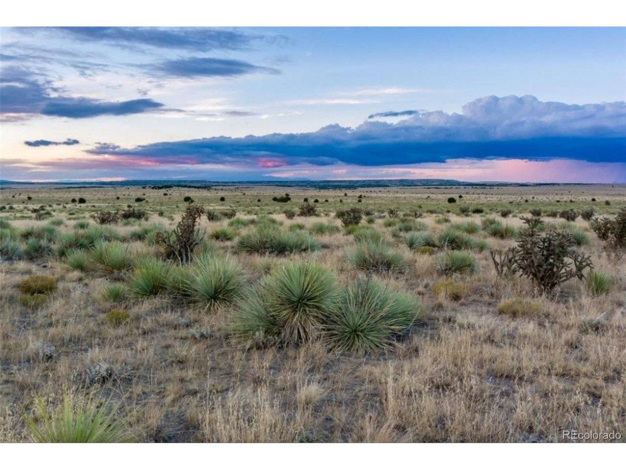 232 Turkey Ridge Ranch, Walsenburg, CO 81089