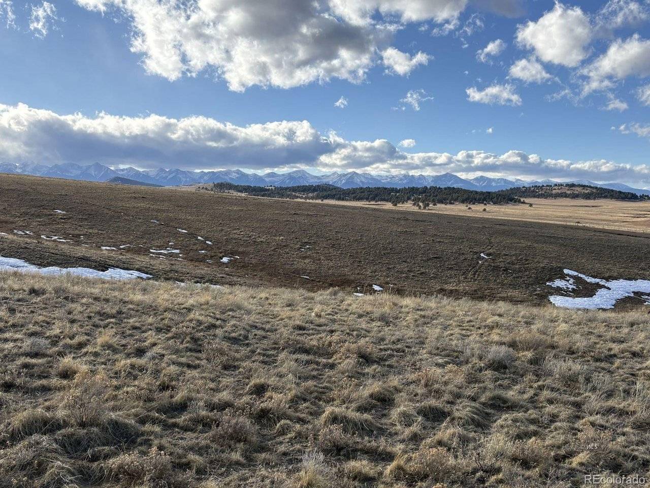 29 Eagle Springs, Westcliffe, CO 81252