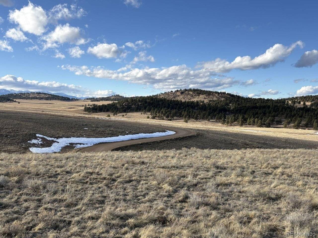 29 Eagle Springs, Westcliffe, CO 81252