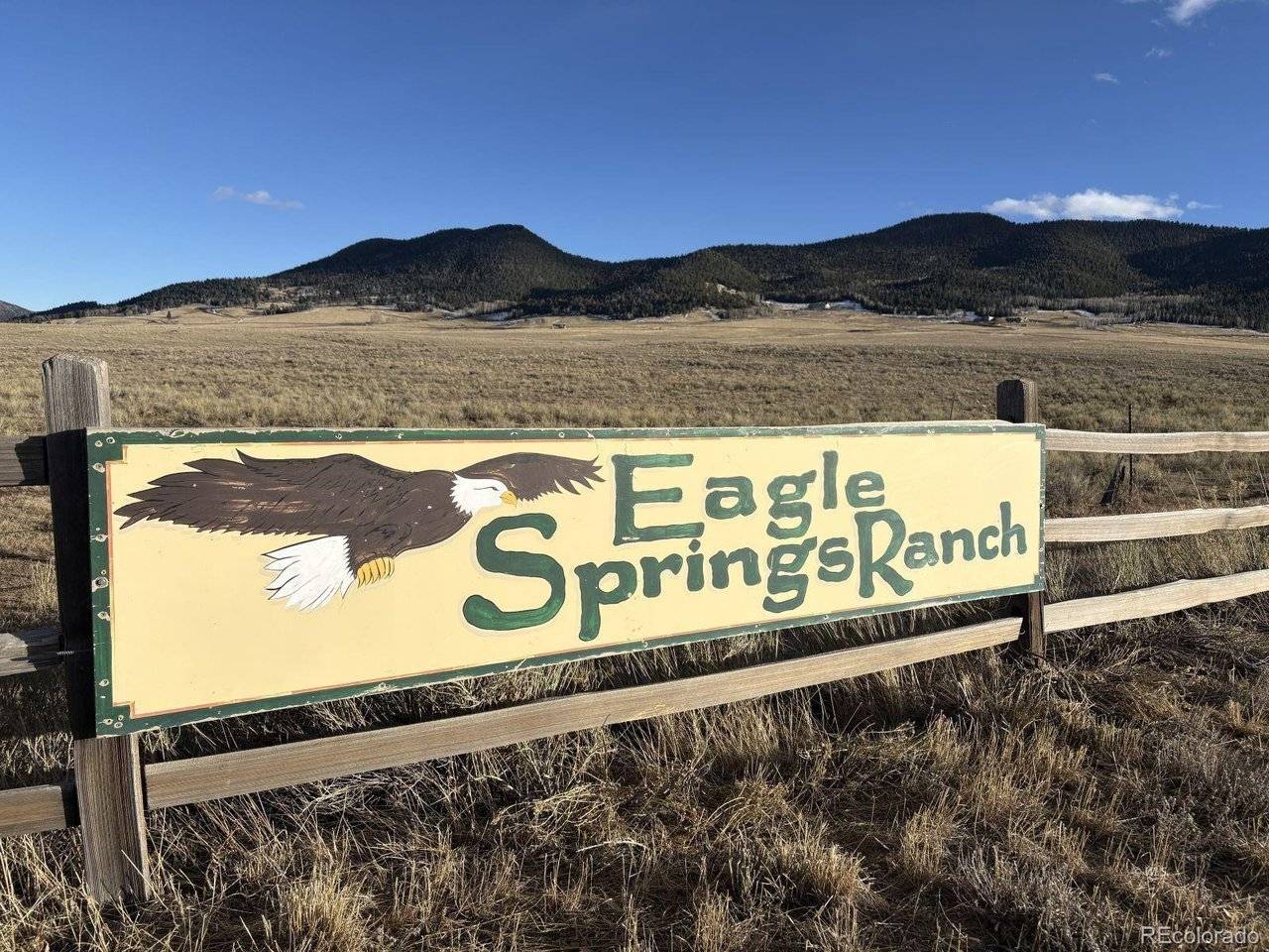 29 Eagle Springs, Westcliffe, CO 81252