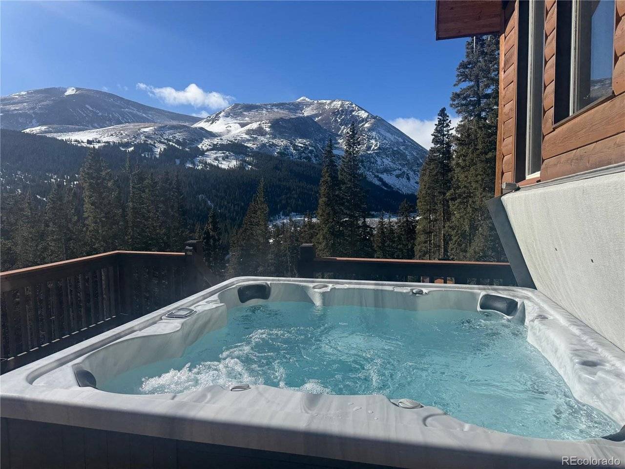 926 Nuthatch, Alma, CO 80420