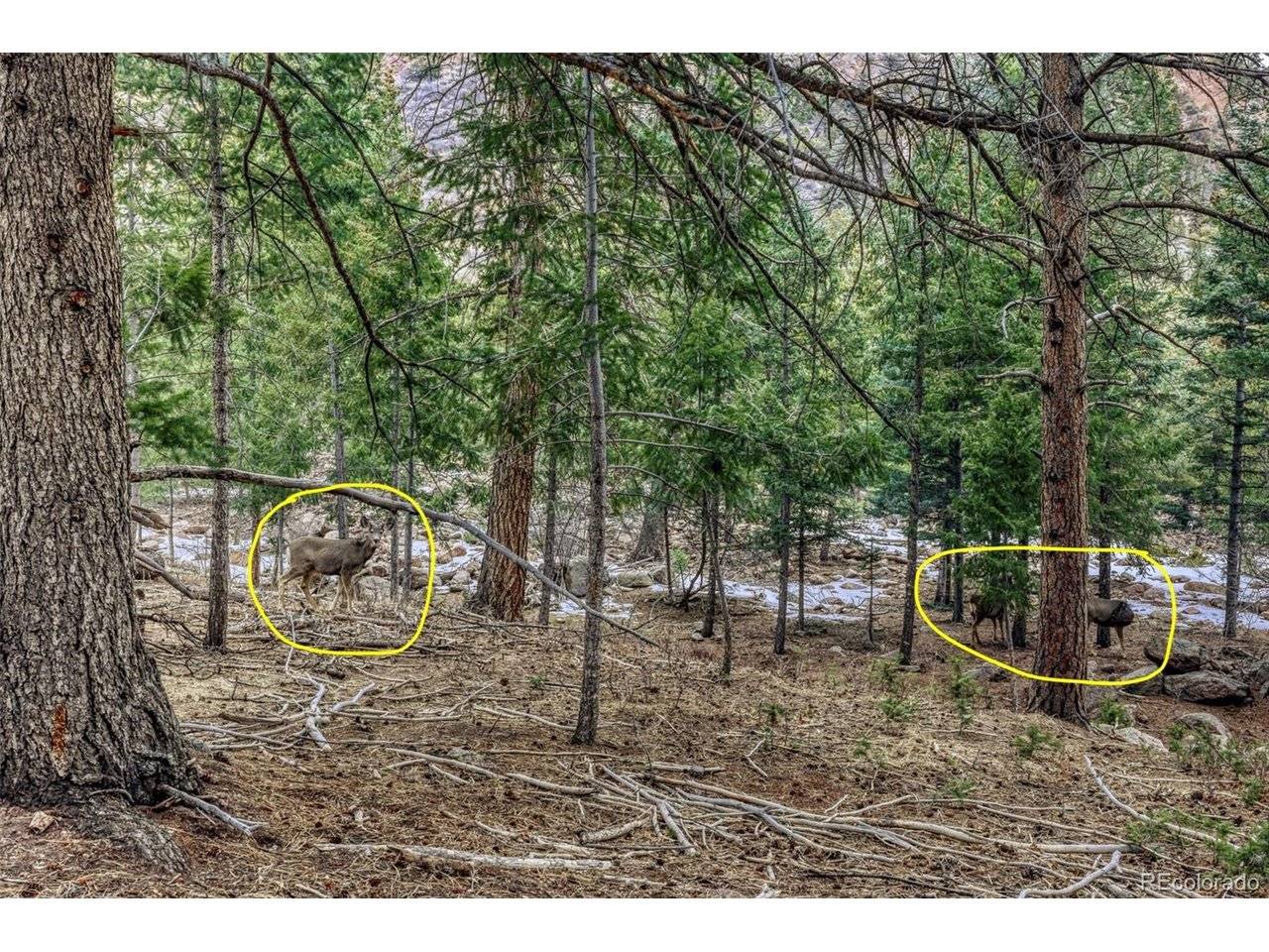Rock Ridge, Palmer Lake, CO 80133