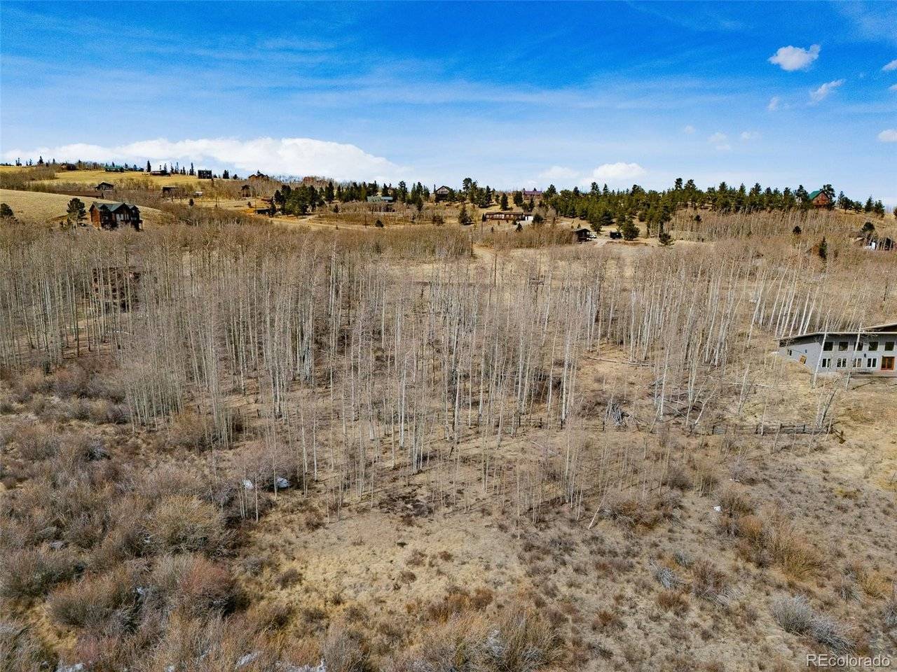 1555 Sheep Ridge, Fairplay, CO 80440
