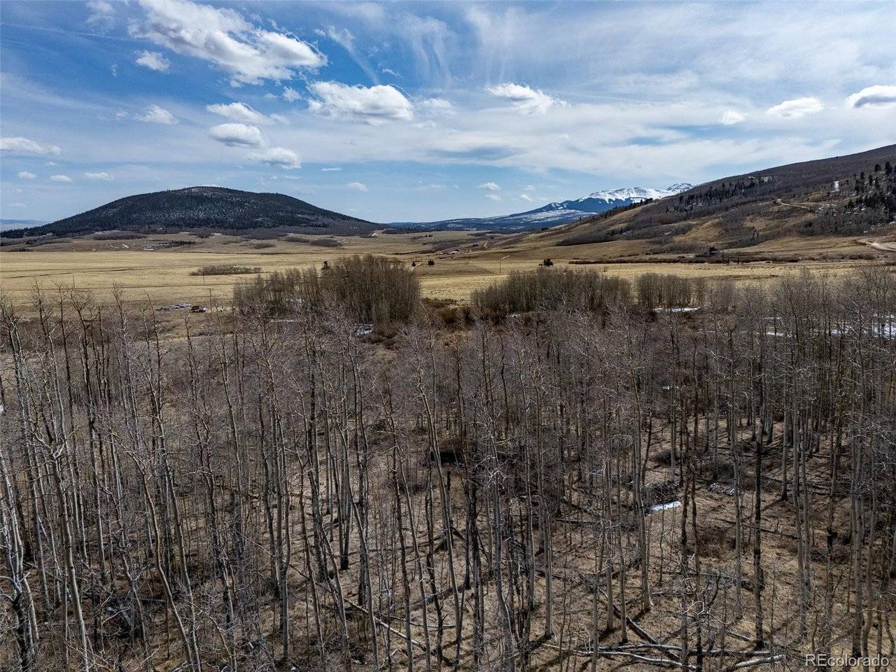1555 Sheep Ridge, Fairplay, CO 80440