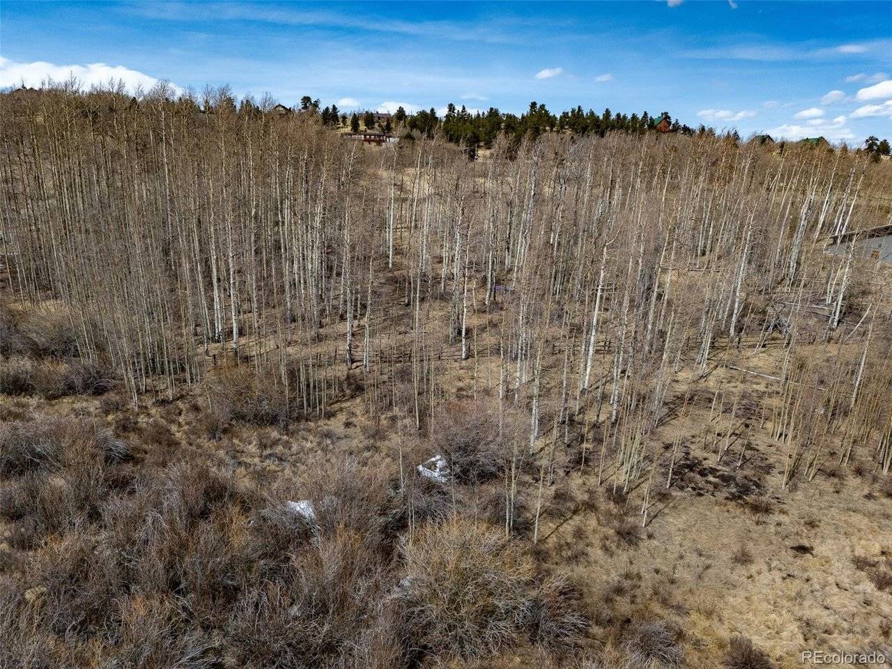 1555 Sheep Ridge, Fairplay, CO 80440