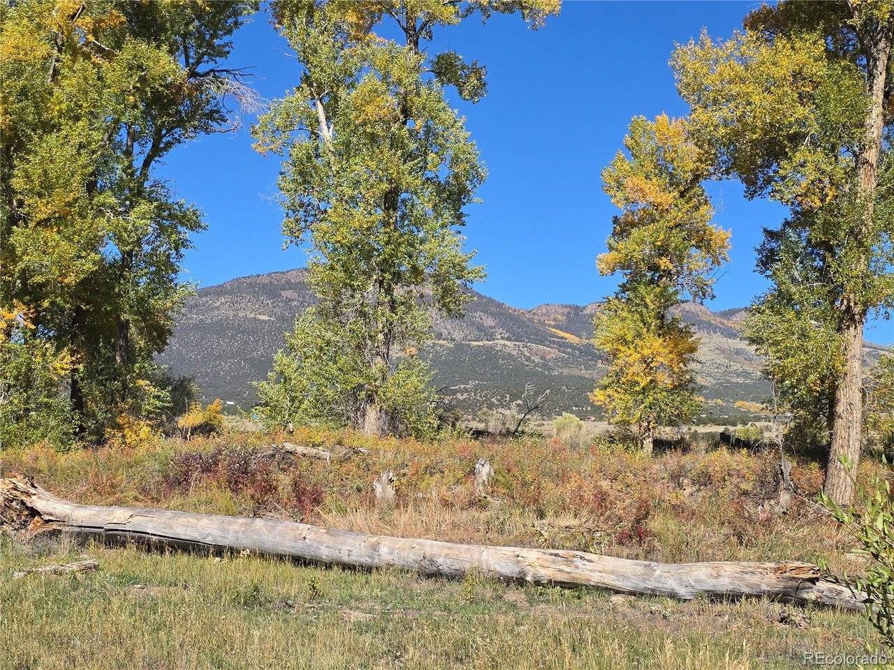 1862 River Island, South Fork, CO 81154