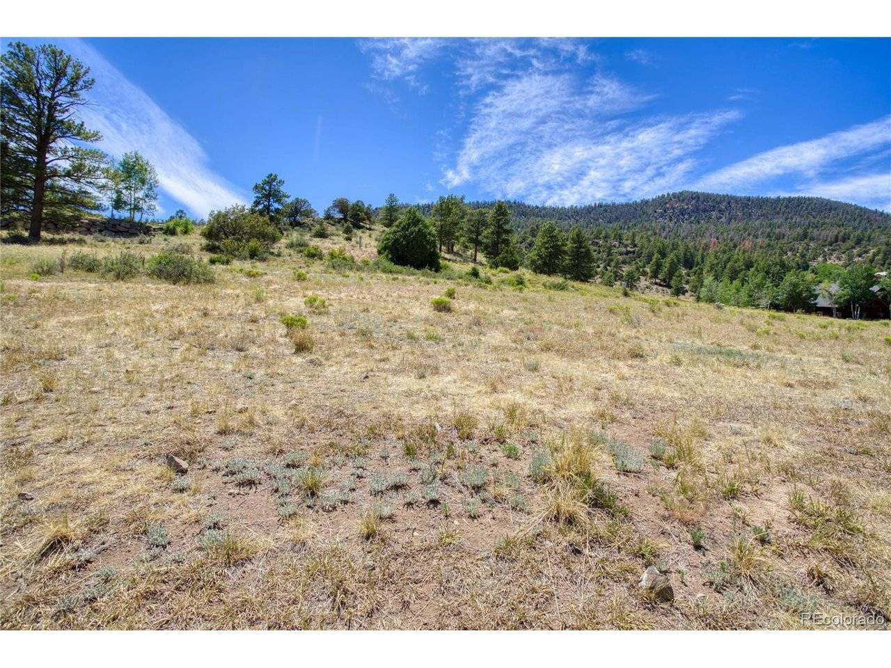 472 Rio Grande Club, South Fork, CO 81154