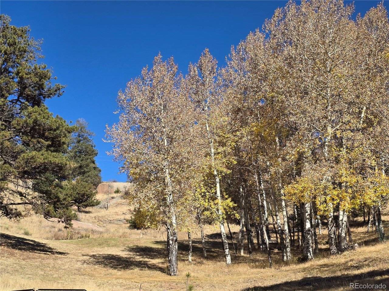 71 Elkhorn, Florissant, CO 80816