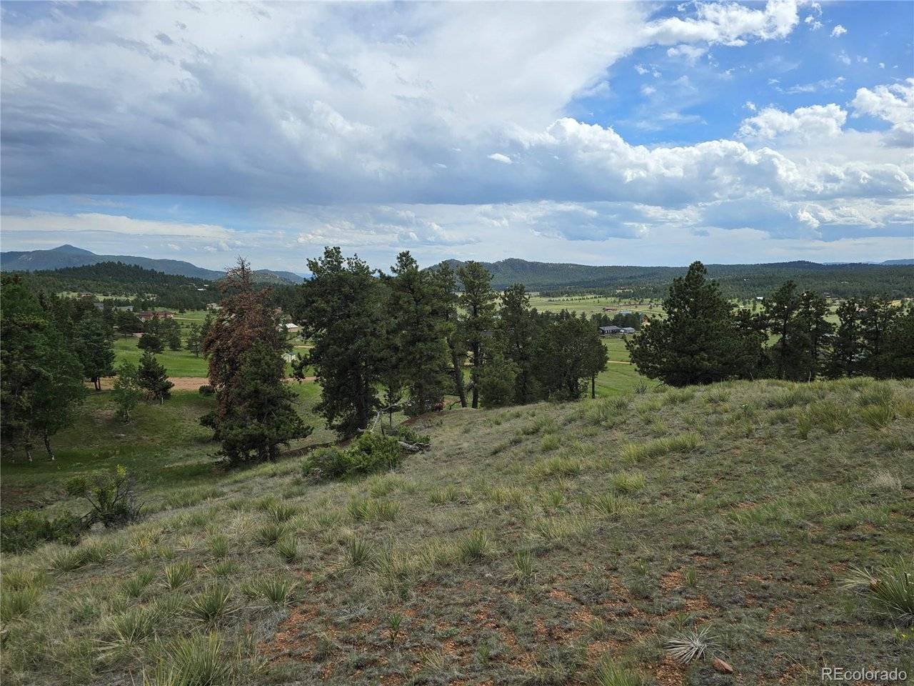 71 Elkhorn, Florissant, CO 80816