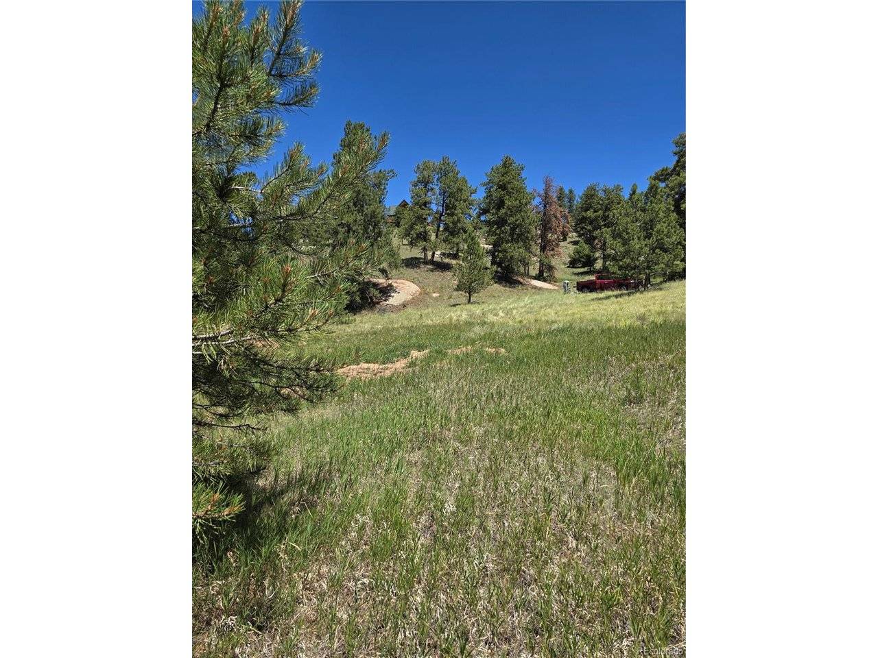 71 Elkhorn, Florissant, CO 80816