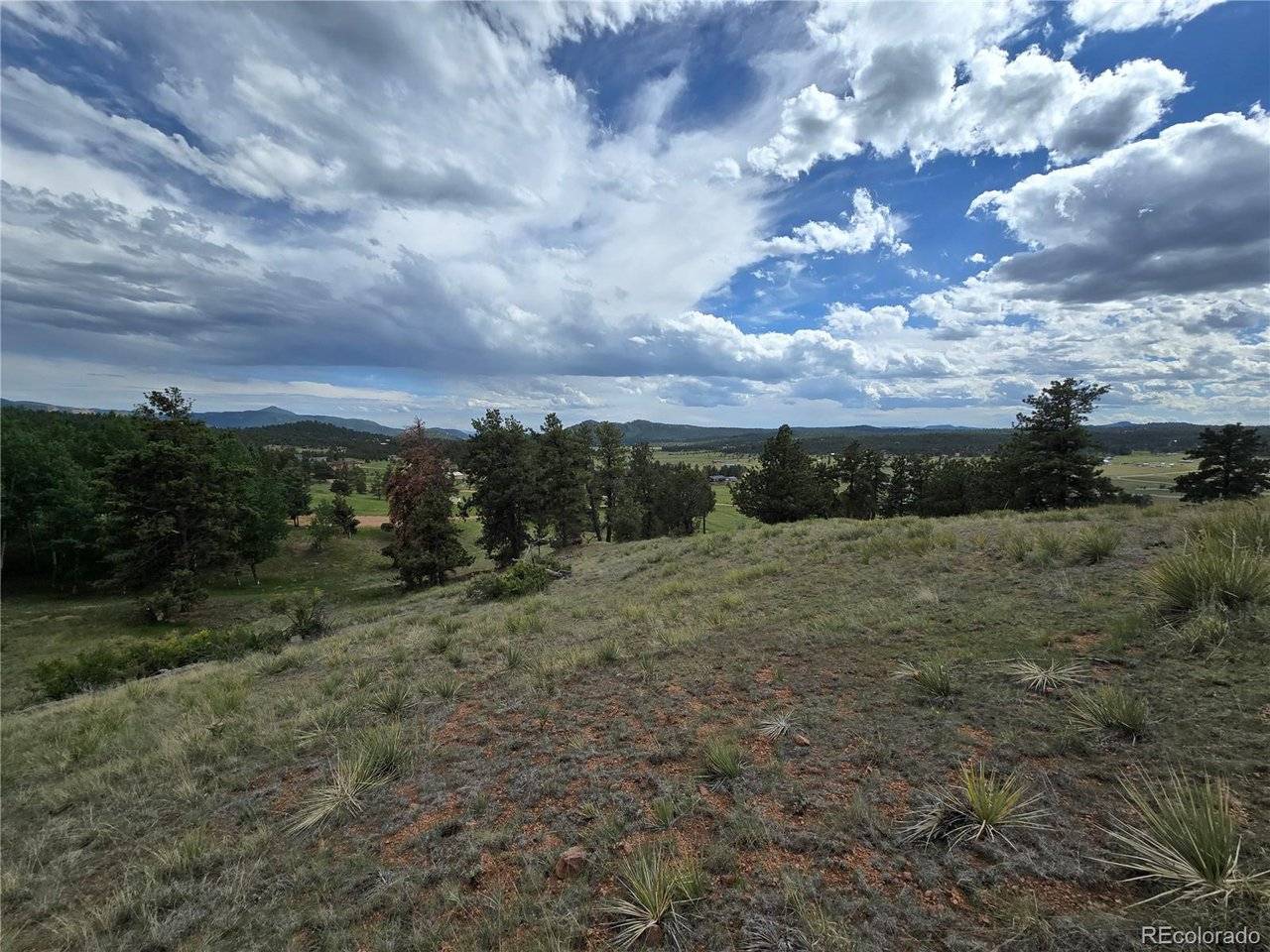 71 Elkhorn, Florissant, CO 80816