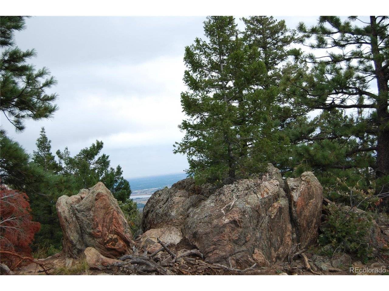 13927 Dancing Bear, Littleton, CO 80127