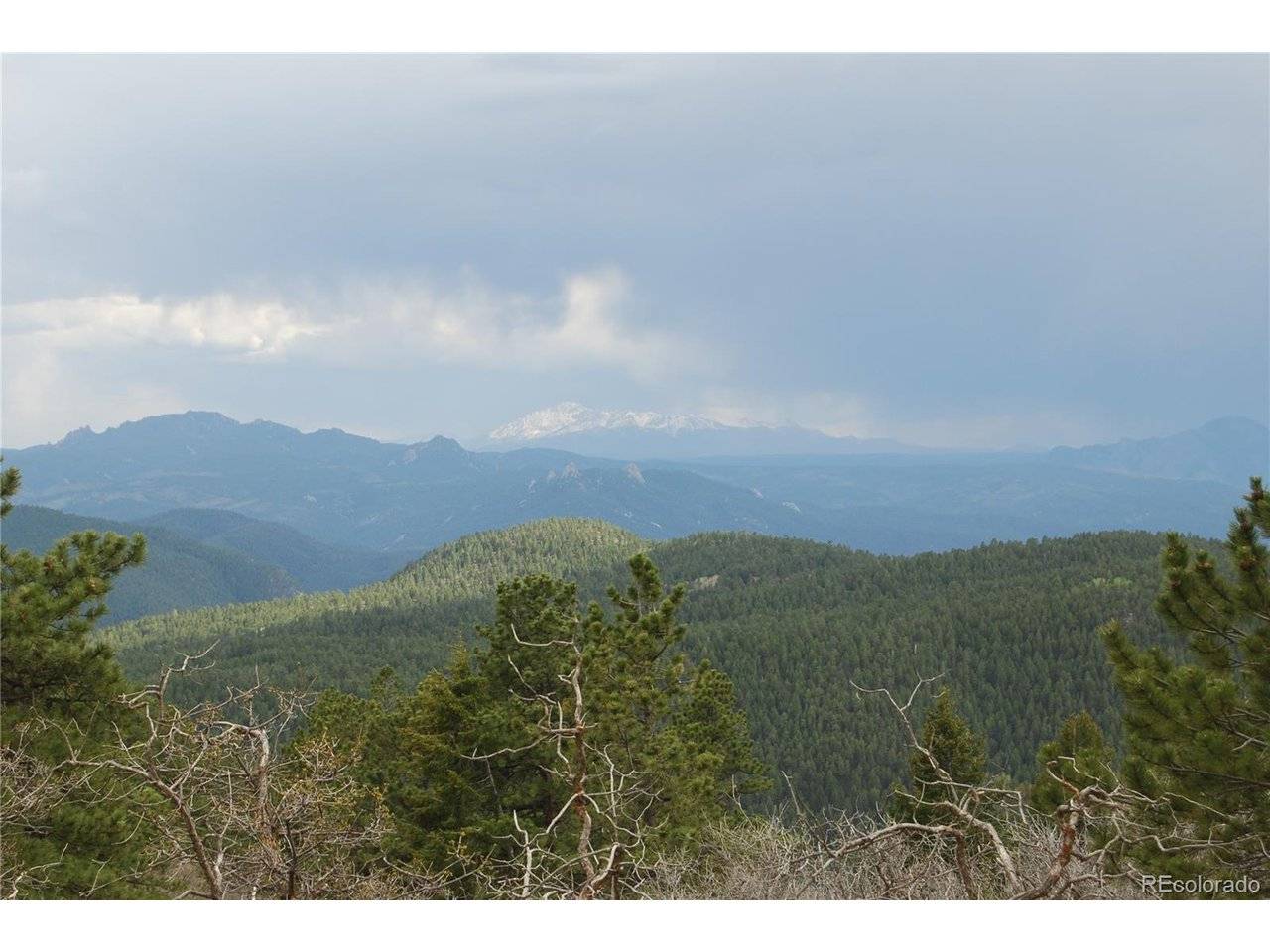 13927 Dancing Bear, Littleton, CO 80127