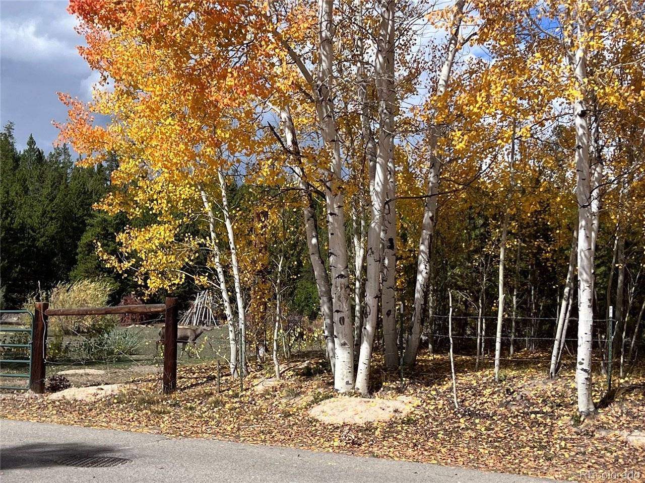 Address not disclosed, Grand Lake, CO 80447