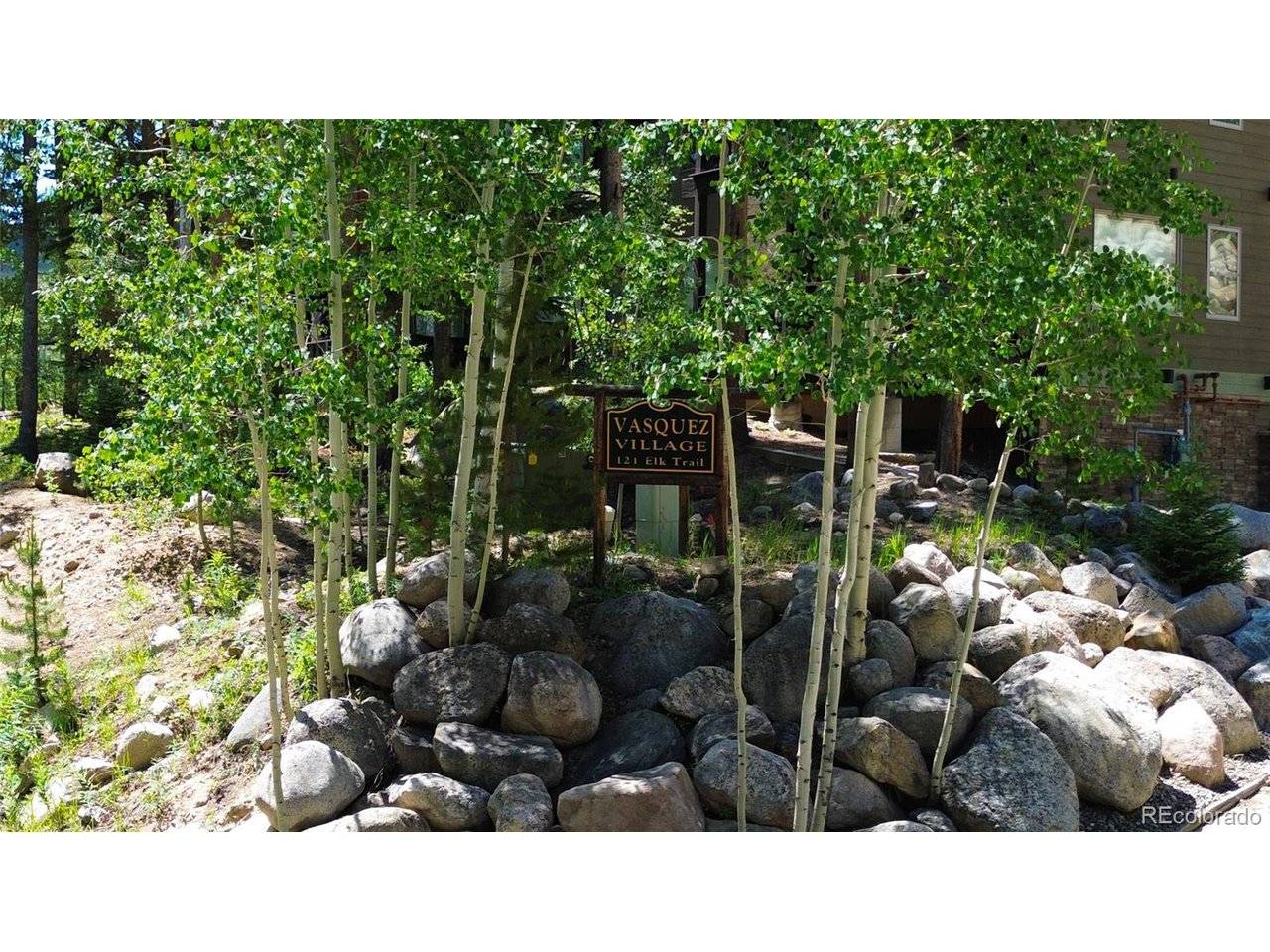 121 Elk #6, Winter Park, CO 80482