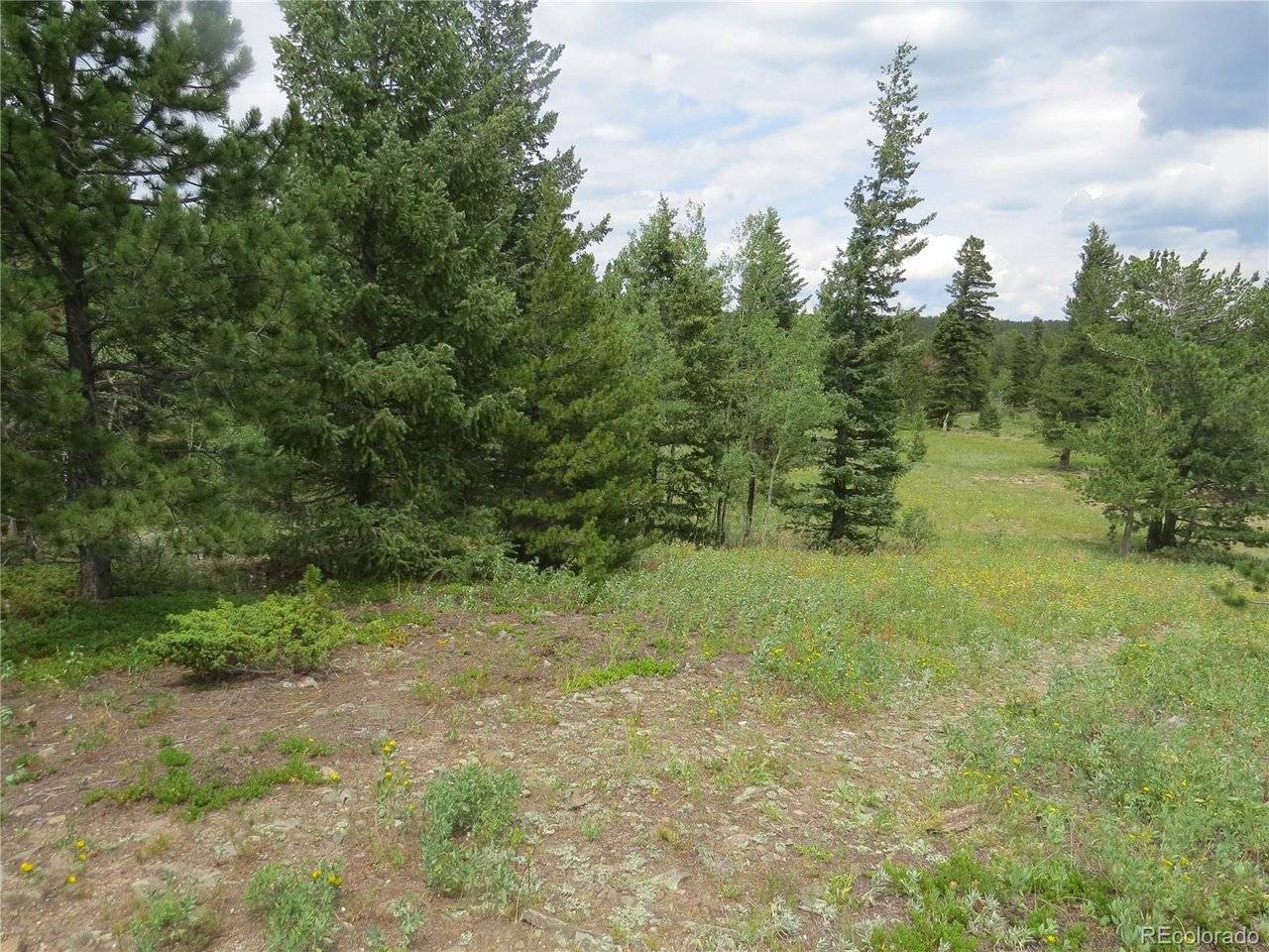 Peak to Peak Hwy, Nederland, CO 80466