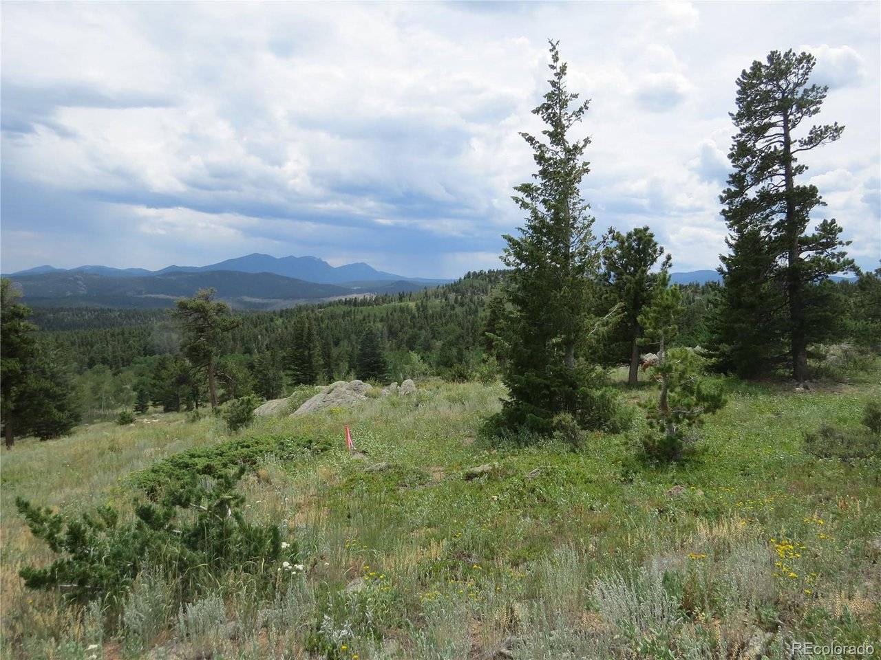 Peak to Peak Hwy, Nederland, CO 80466