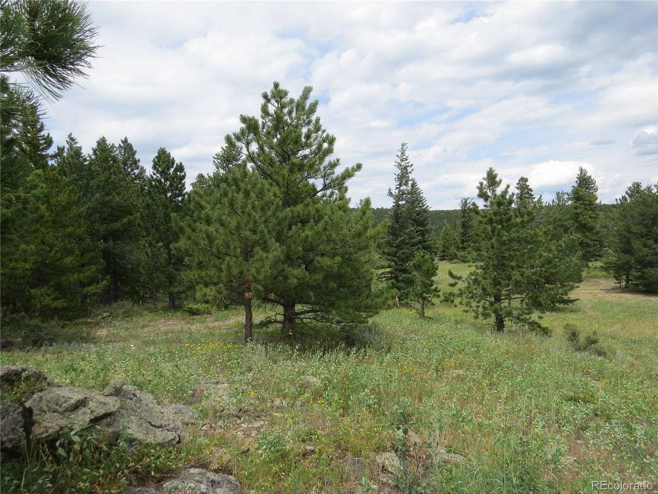 Peak to Peak Hwy, Nederland, CO 80466